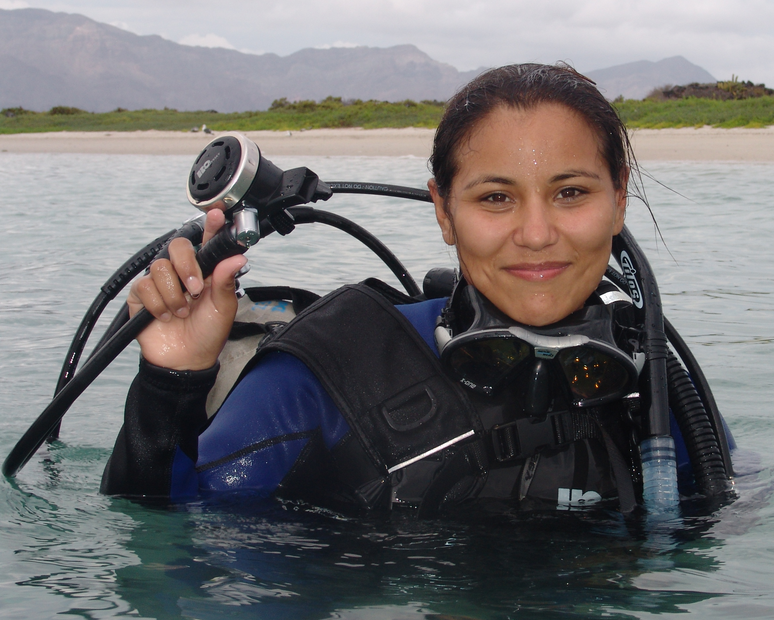 Buceo Recreativo: Explora los secretos del Mar de Cortés